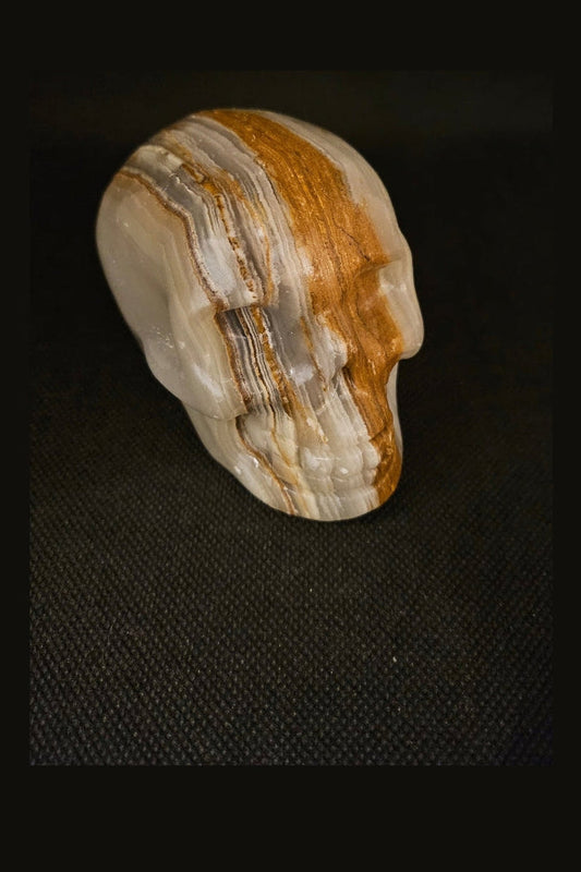 Crâne en Jade d'Afghanistan - Pierre de Sagesse et de Sérénité -décoration crâne en pierre naturelle - Kumari Legacy