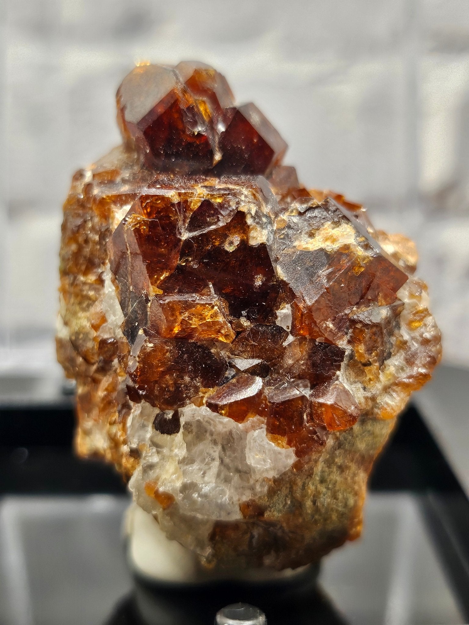 Grenat Almandin Pakistan – Spécimen Collector GRA - A | 50.35g - Kumari Legacy