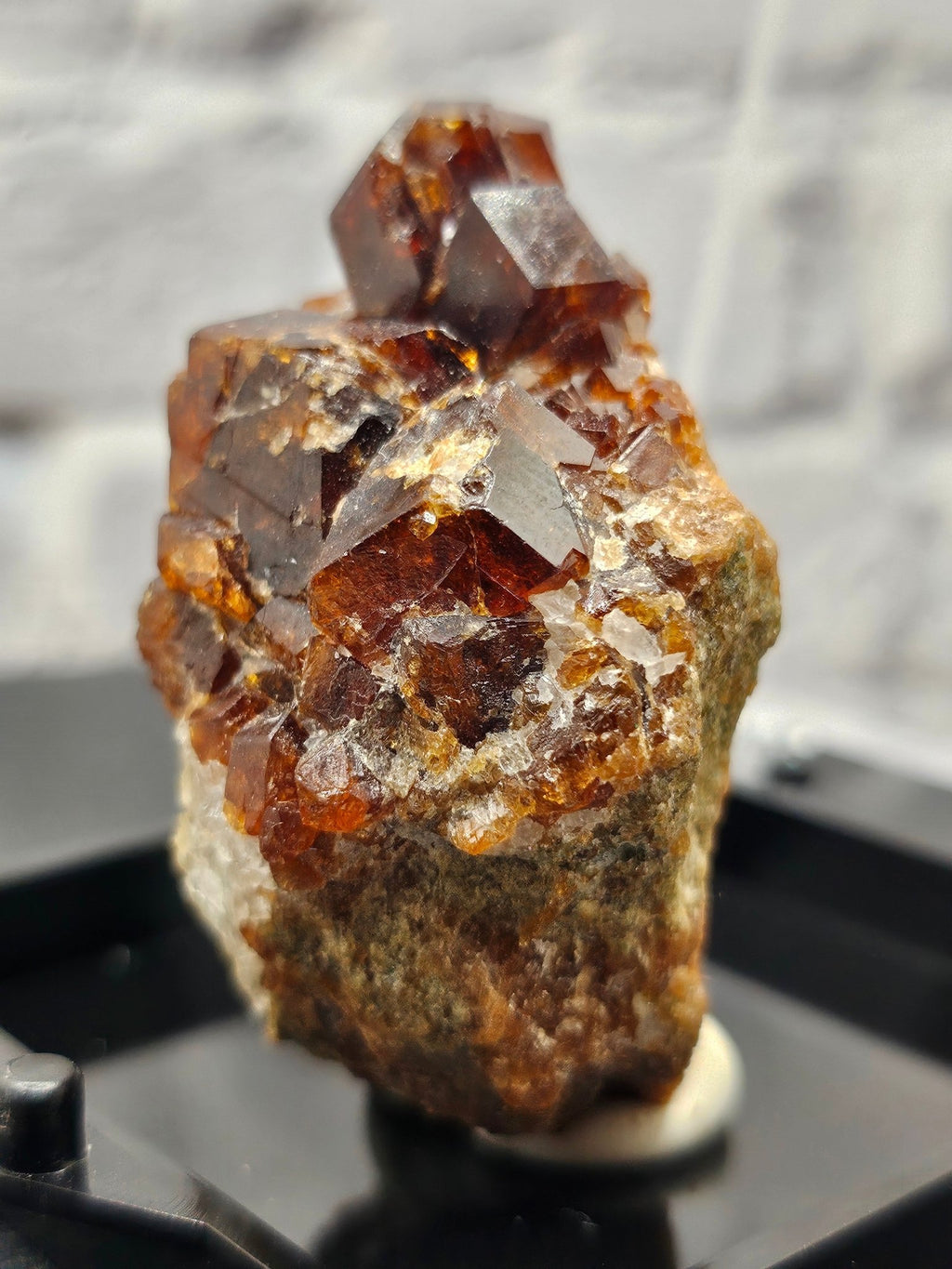 Grenat Almandin Pakistan – Spécimen Collector GRA - A | 50.35g - Kumari Legacy
