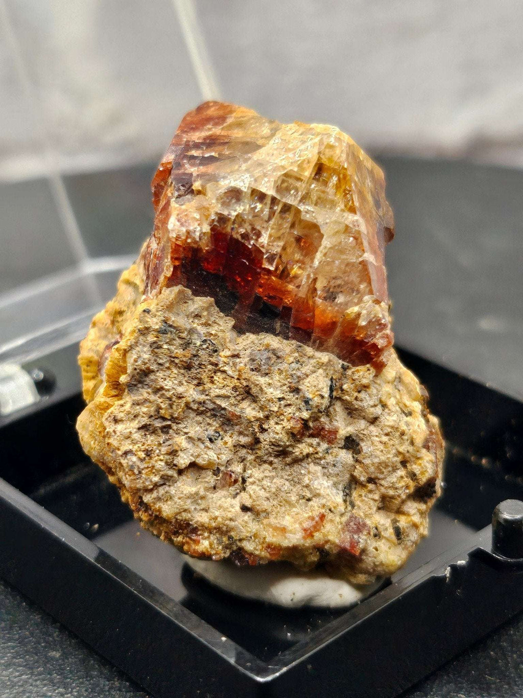 Grenat Almandin Pakistan – Spécimen Collector GRA - C | 21.89g - Kumari Legacy