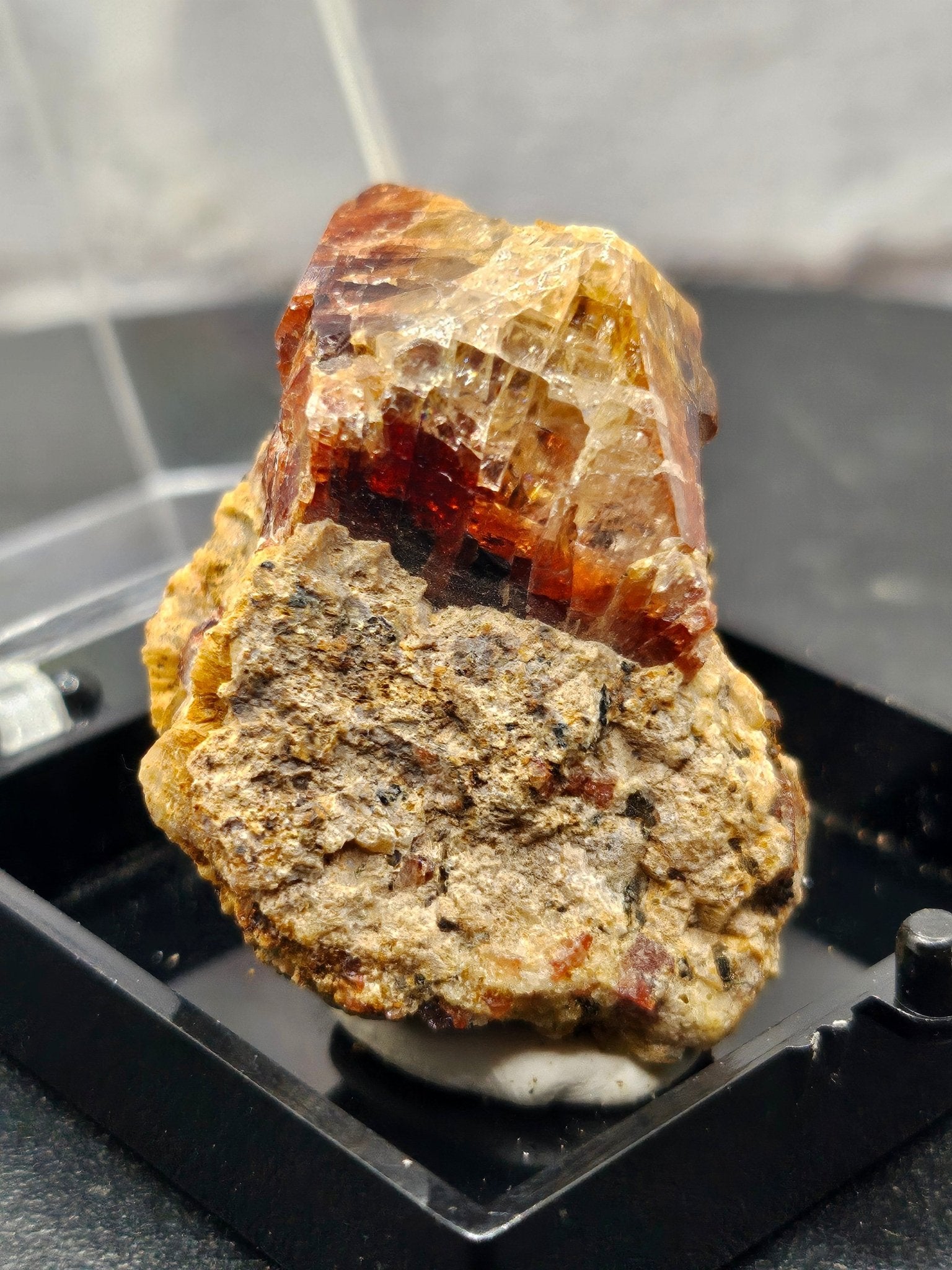 Grenat Almandin Pakistan – Spécimen Collector GRA - C | 21.89g - Kumari Legacy