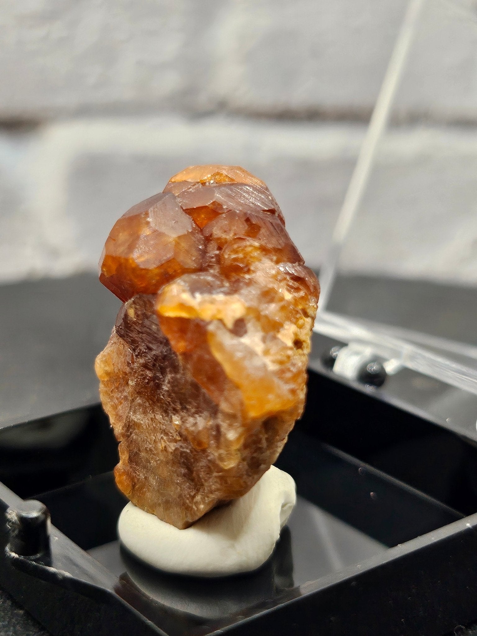Grenat Almandin Pakistan – Spécimen Collector GRA - E | 11.42g - Kumari Legacy