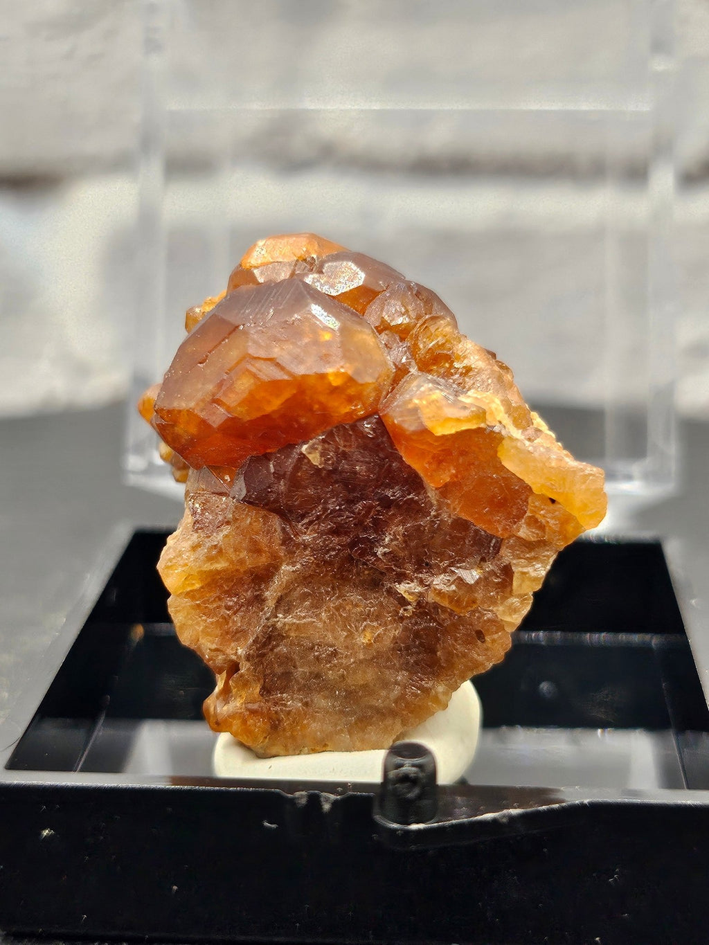 Grenat Almandin Pakistan – Spécimen Collector GRA - E | 11.42g - Kumari Legacy