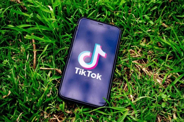 Lien Tiktok 1 € - Kumari Legacy