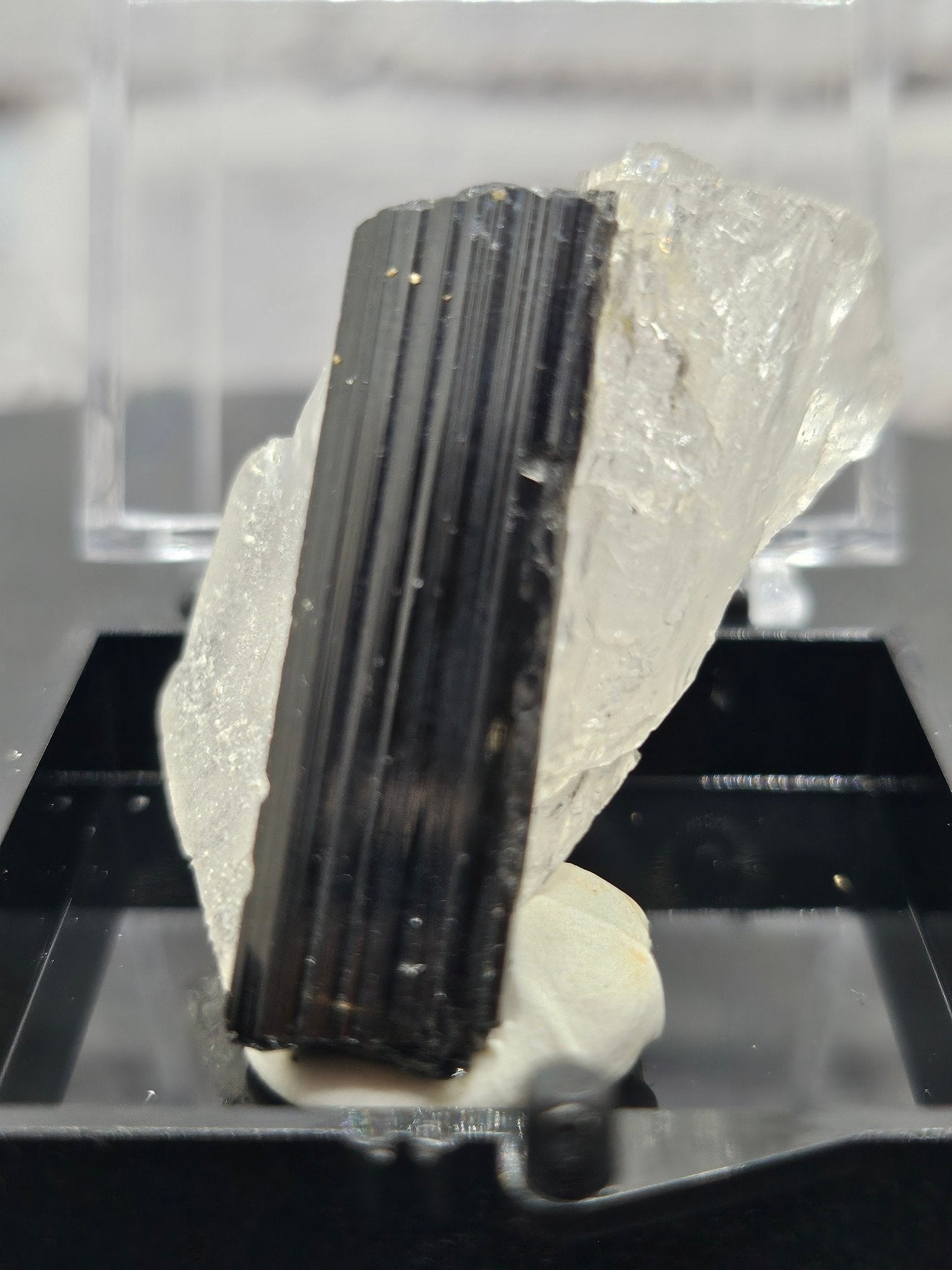 Quartz Hyalin & Tourmaline Himalaya – Spécimen Collector QHT - A | 12.13g - Kumari Legacy
