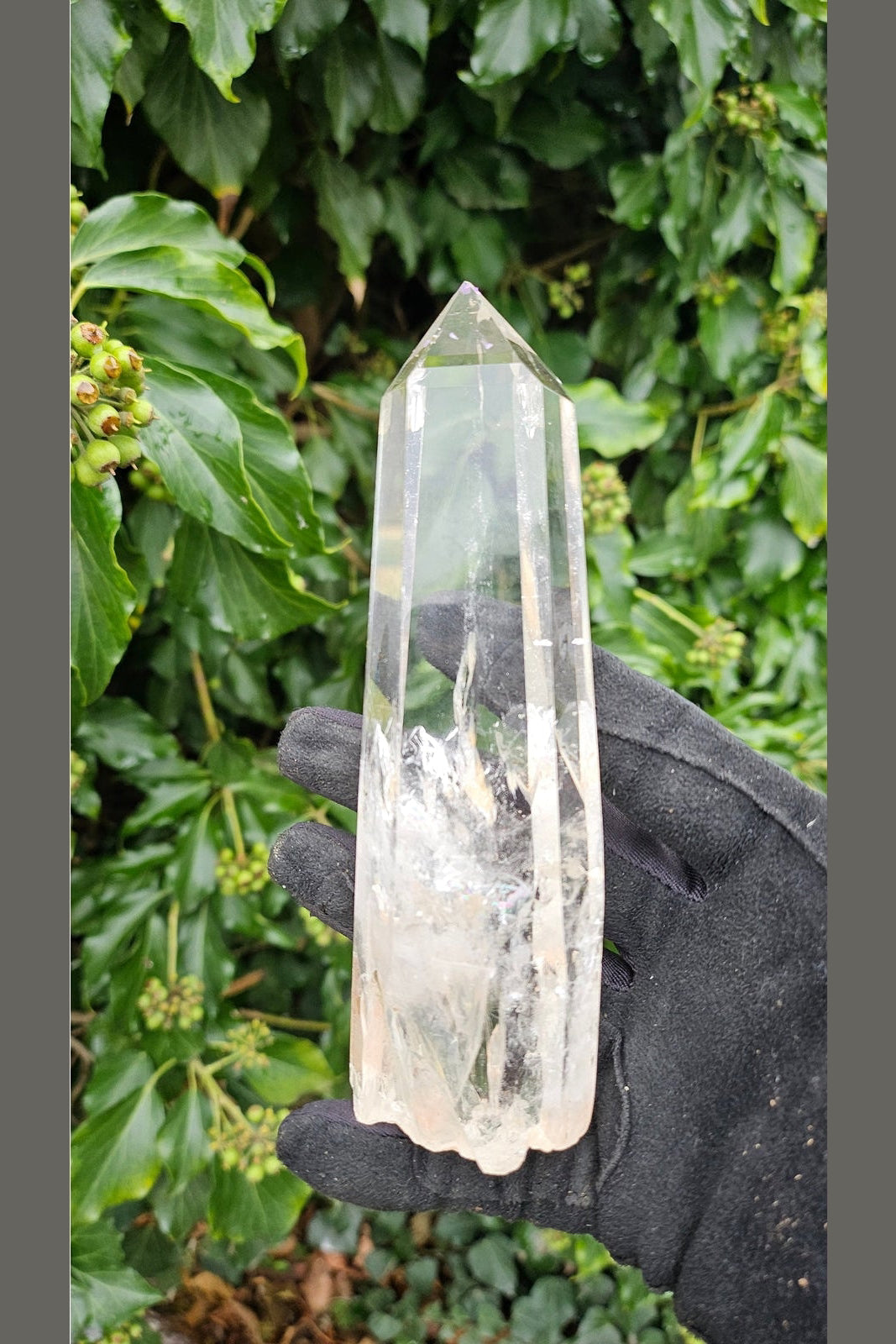 Natural Quartz Point - Crystal Clear Clarity and Universal Energies