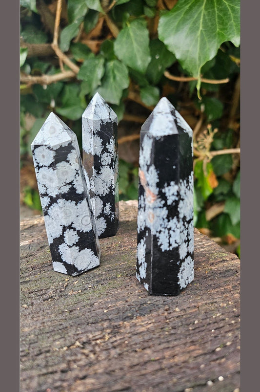 Obsidienne Flocon Naturelle - Élégance Sombre et Protection Énergétique
