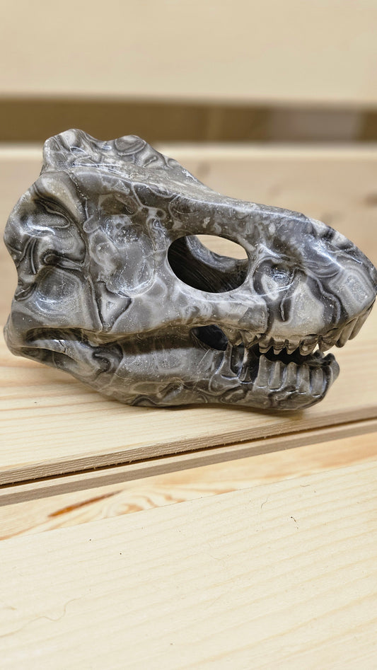 Crâne de Dinosaure en Jaspe Fossile - Sculpture taillée à la main - - Kumari Legacy
