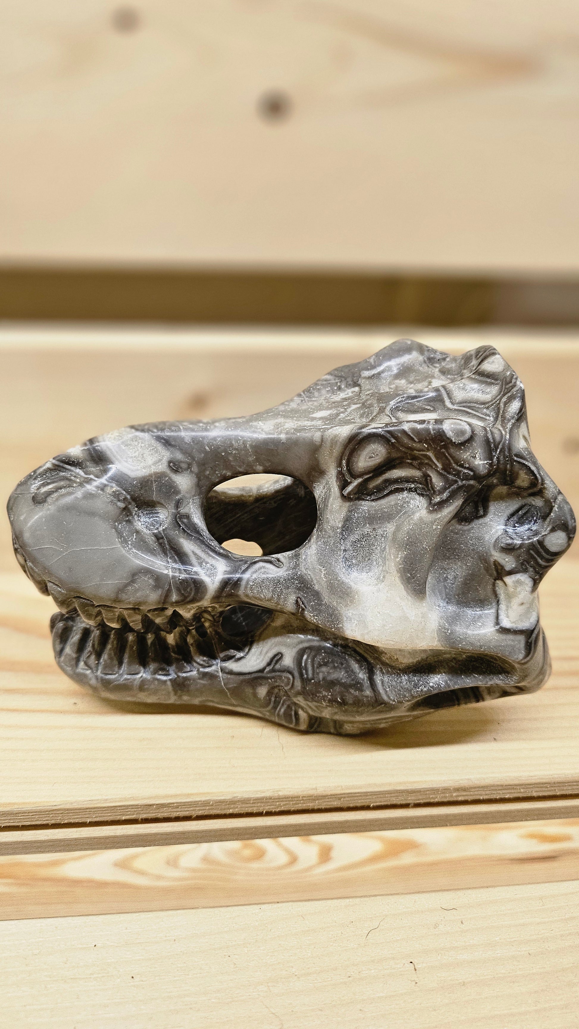Crâne de Dinosaure en Jaspe Fossile - Sculpture taillée à la main