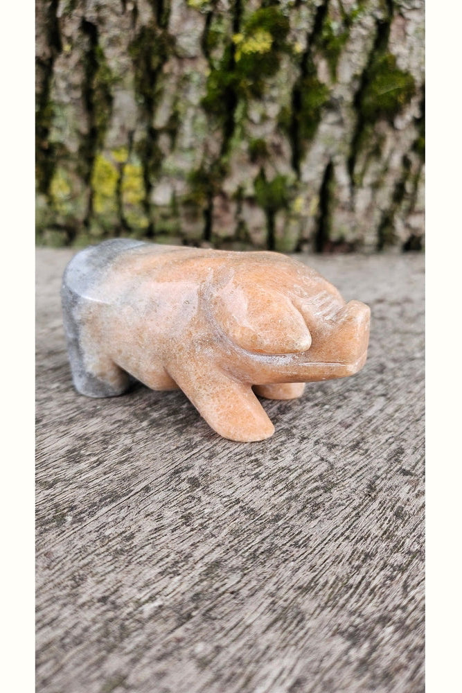 Cochon Sculpté en Pierre d'Héliolite Naturelle - Charme Solaire et Énergie Positive
