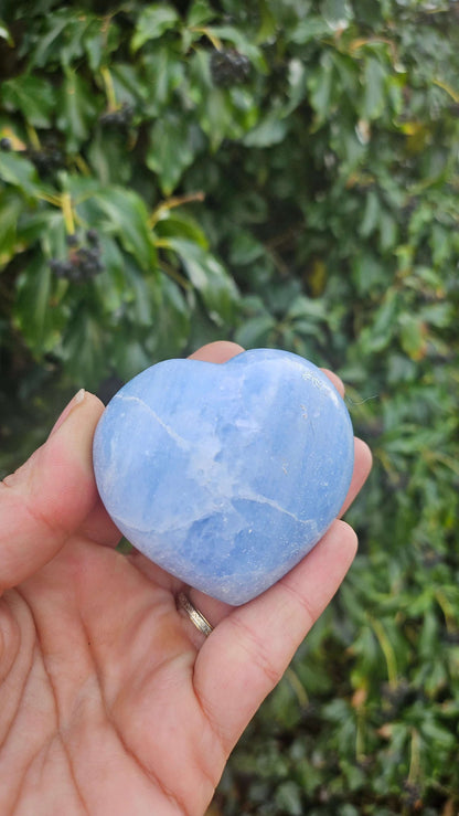 Cœur en Calcite Bleue - Sérénité et Clarté - - Kumari Legacy